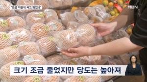 "배가 조그마해도 싸고 맛있네"…이른 추석에도 과일값 '이상무'