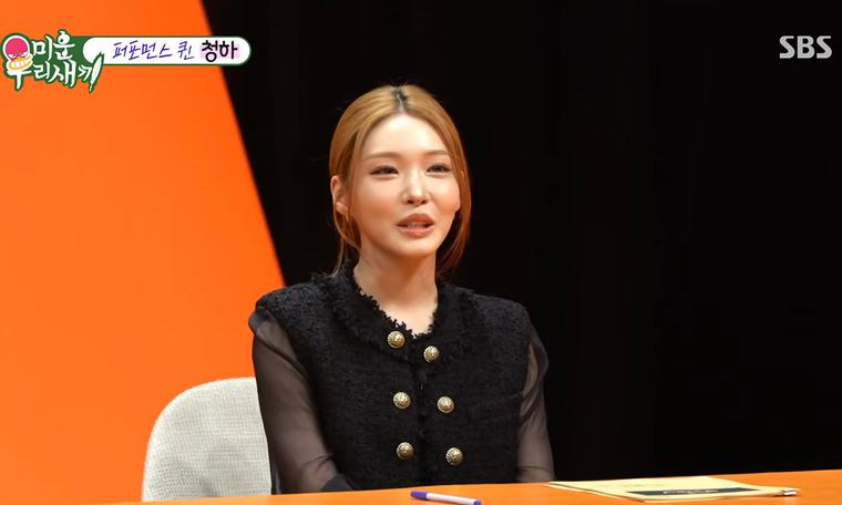 청하 "30대 되면 집·차·남자 있을 줄 알았다"
