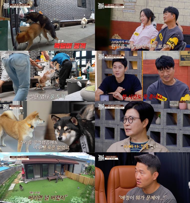 ‘Time Between Dog and Wolf 2’ Kang Hyung-wook “I tried to be fair, but it was not fair”