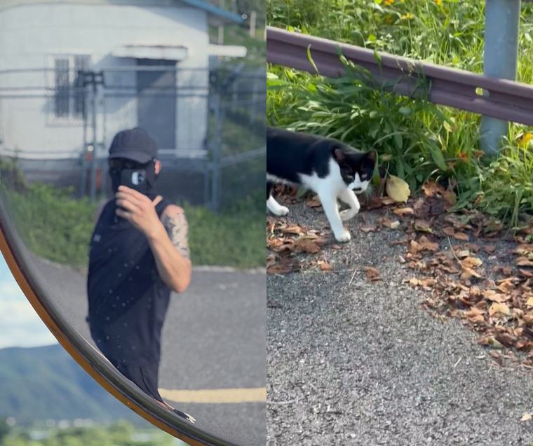 Go Young-wook angry, hits back at running criticism: “Cats are better than humans”