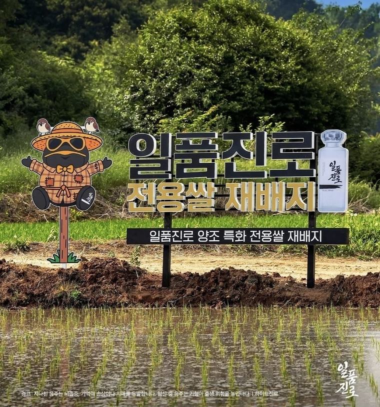 하이트진로, ‘일품진로 1924 헤리티지’ 한정 출시…“일품진로쌀 100% 사용”