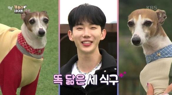 조권, 14년 함께한 반려견 가가 떠나보냈다…“더 안아줄걸”