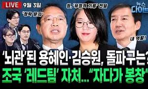 [뉴스 다이브] 조국 “레드팀 내 역할”…민주당은 부글부글?
